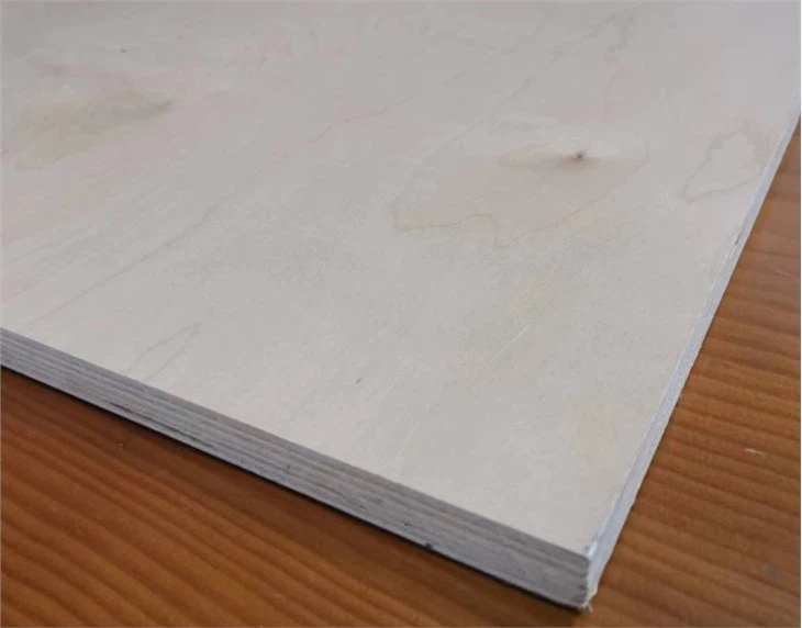 Uv Coated Birch Plywood